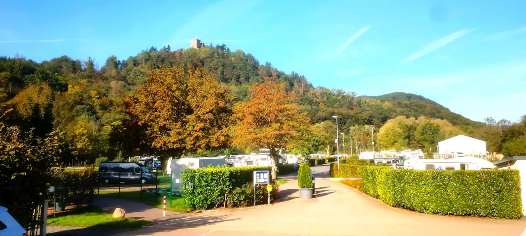 Moselcampingplatz Alf  - image n°1 - Camping Direct