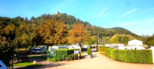 Foto #1 van Moselcampingplatz Alf