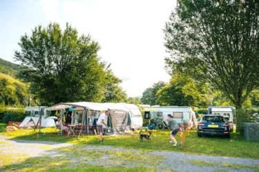 Moselcampingplatz Alf  - image n°2 - Camping Direct