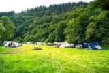 Foto #3 van Moselcampingplatz Alf