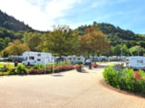 Foto #5 van Moselcampingplatz Alf