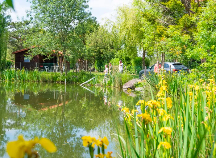 Domaine les Epinettes