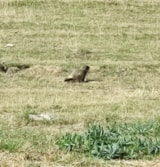 Foto #42 van Camping Le Champ Long