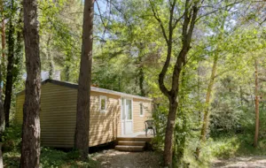 Locatif - Mobil home confort - Camping Le Champ Long