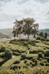 Foto #47 van Domaine Saint-Amand