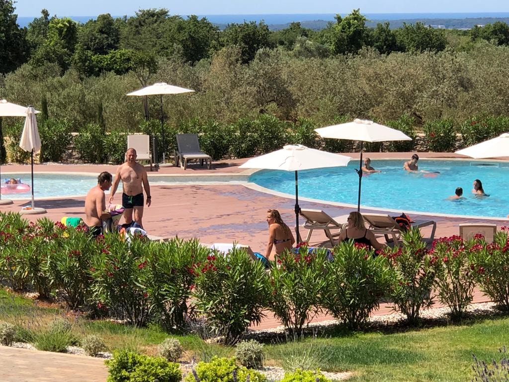 Papafigo Glamping & Camping Resort  — Foto 6
