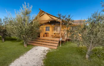 Mietunterkunft - Glampingzelt - Papafigo Camping