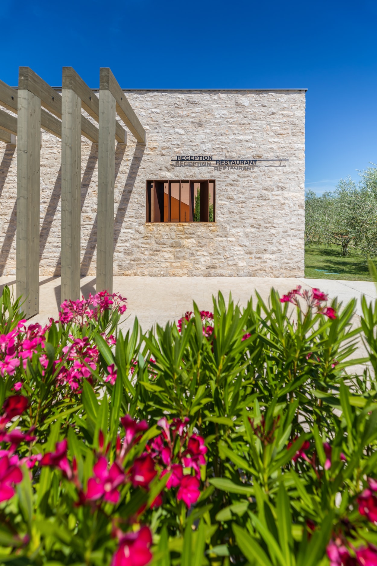 Papafigo Glamping & Camping Resort 