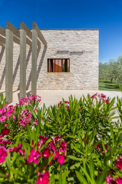 Papafigo Glamping & Camping Resort 
