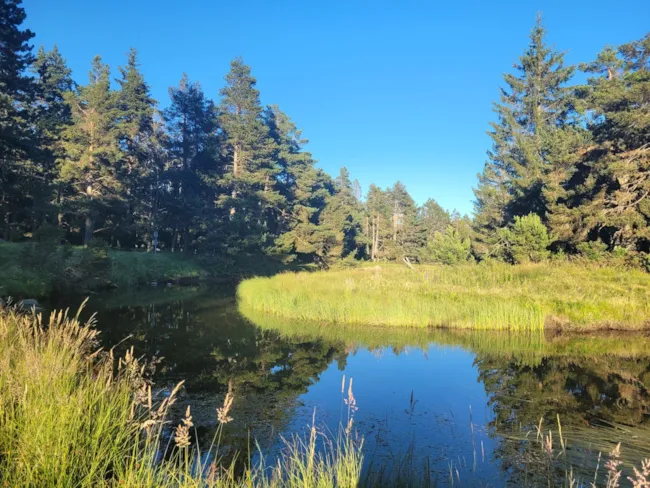 Camping LE PETIT CANADA      (Les Bouillouses) - image n°4 - Camping Direct