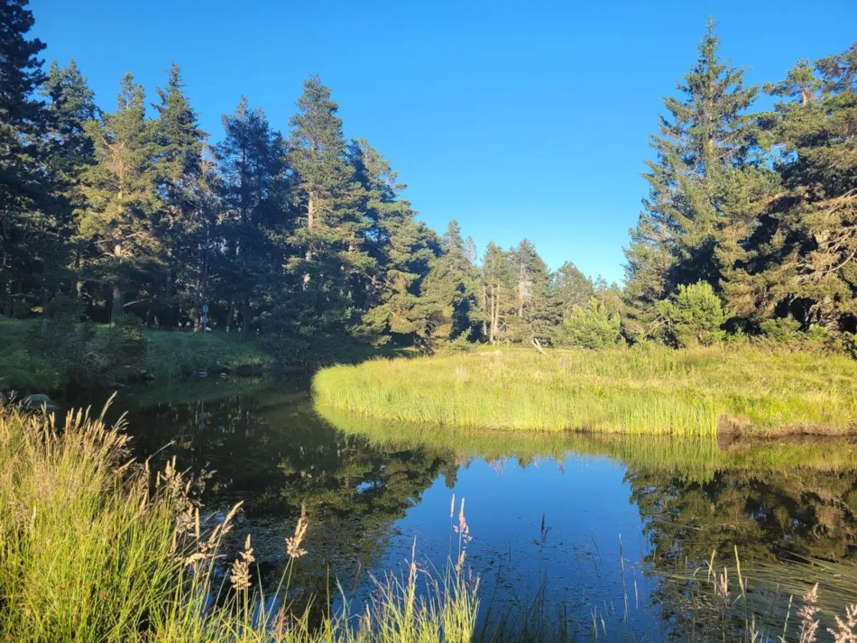 Camping LE PETIT CANADA      (Les Bouillouses)