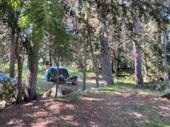 Stellplatz - Pitch Nature (Ohne Strom) - Camping LE PETIT CANADA      (Les Bouillouses)