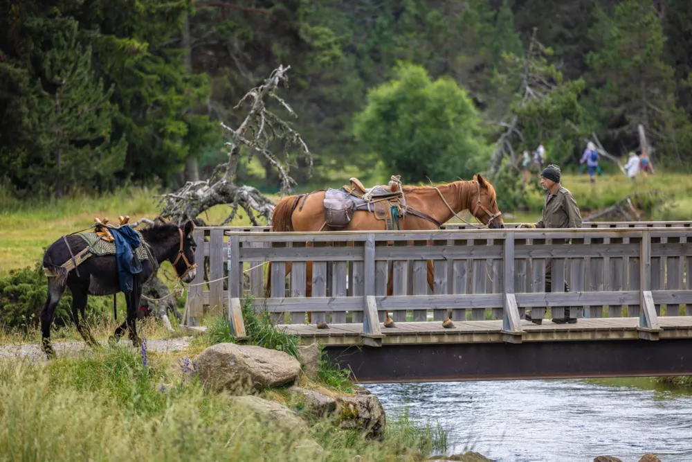 Camping LE PETIT CANADA      (Les Bouillouses)