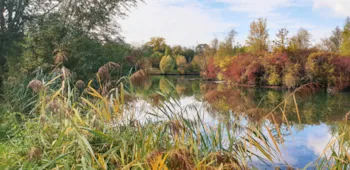 Stellplatz - Herbst-Spezial - Camping am Hirschfeldsee - Sperrfechter Freizeitpark