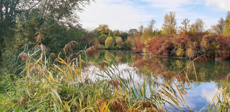 Spécial automne