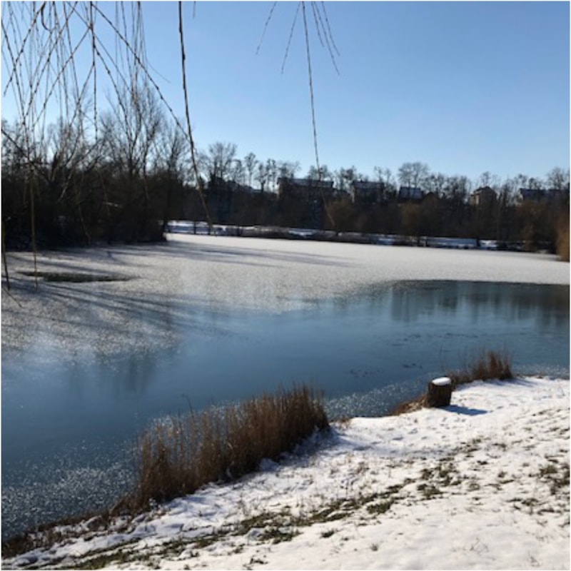 Spécial hiver