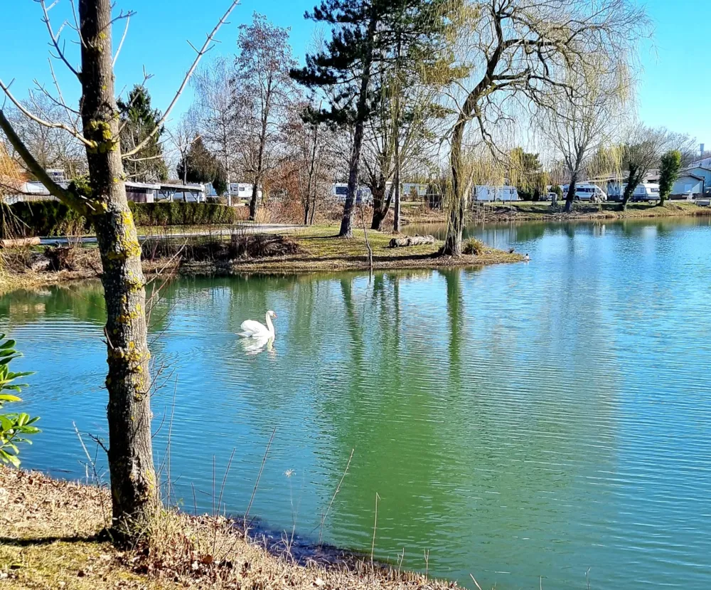 Stellplatz Mit Angelstelle Für Wohnwagen/Zelt