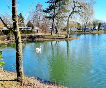 Stellplatz - Stellplatz Mit Angelstelle Für Wohnwagen/Zelt - Camping am Hirschfeldsee - Sperrfechter Freizeitpark