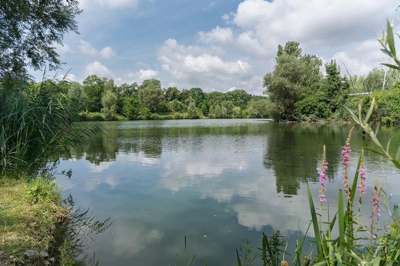 Camping am Hirschfeldsee - Sperrfechter Freizeitpark — Foto 4