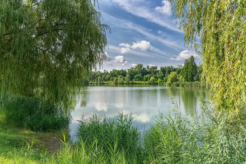 Camping am Hirschfeldsee - Sperrfechter Freizeitpark