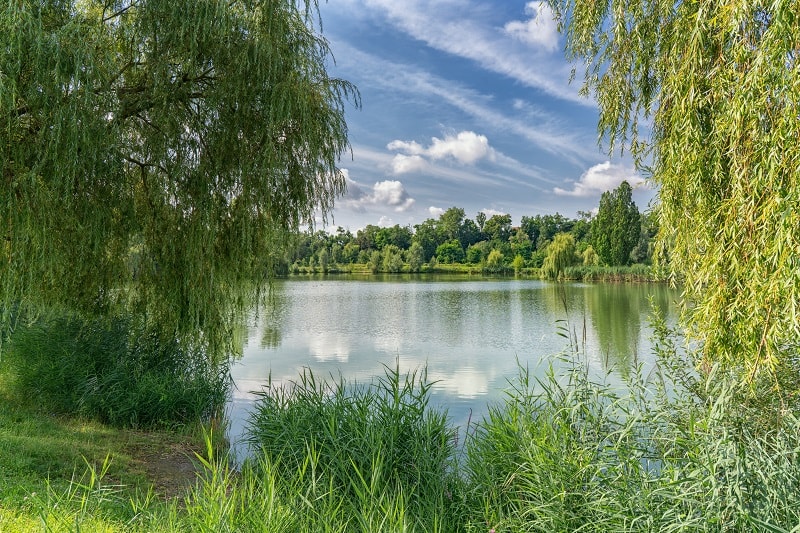 Camping am Hirschfeldsee - Sperrfechter Freizeitpark — Foto 1