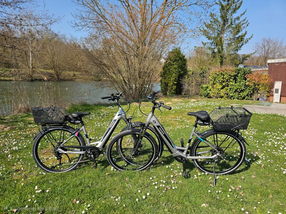 Ebike  Rahmenhöhe 50Cm