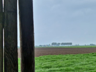 Farm Tent Kievit — 4