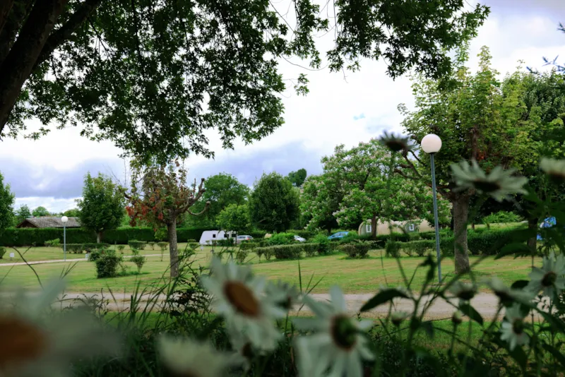 Forfait Camping (Emplacement, 2 Personnes, 1 Véhicule)
