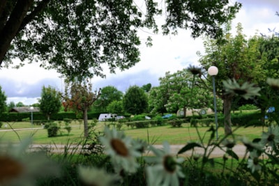 Camping package (pitch, 2 people, 1 vehicle)