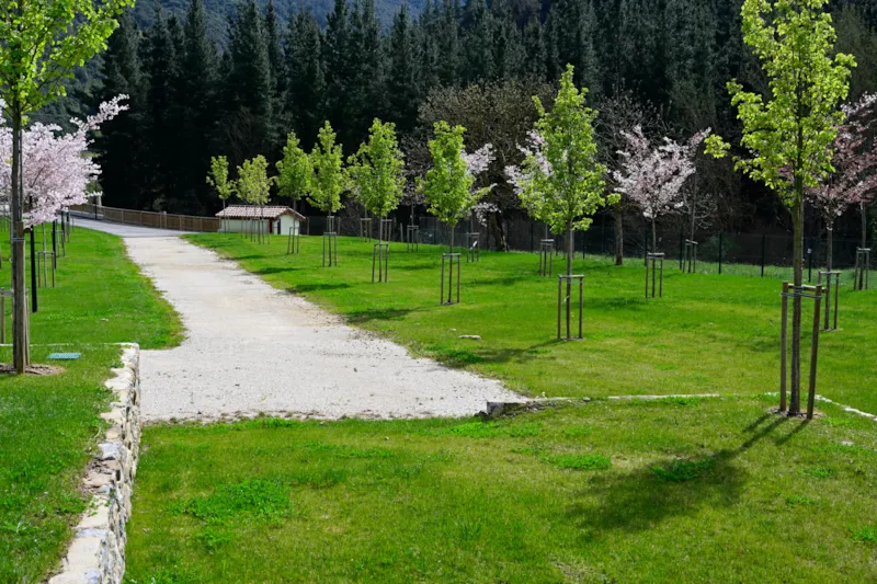 Pitch For Tent/Caravan + Car Or Motorhome Without Electricity