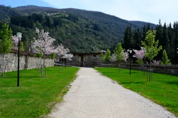 Pitch - Pitch For Tent/Caravan + Car Or Motorhome With Electricity - Camping Liébana