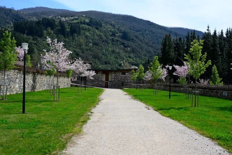 Emplacement Tente / Caravane + Voiture Ou Camping-Car