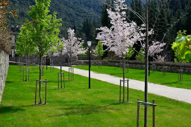 Emplacement Tente / Caravane + Voiture Ou Camping-Car