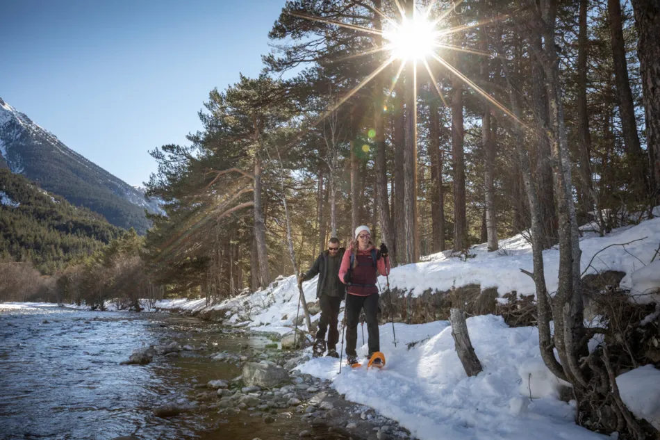 Les Chalets de Huttopia la Clarée