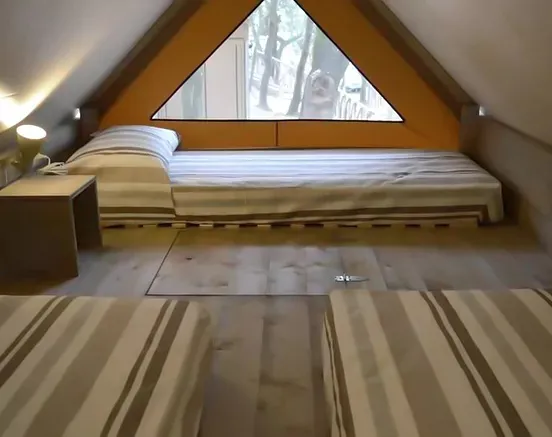 Glamping Safari Tent