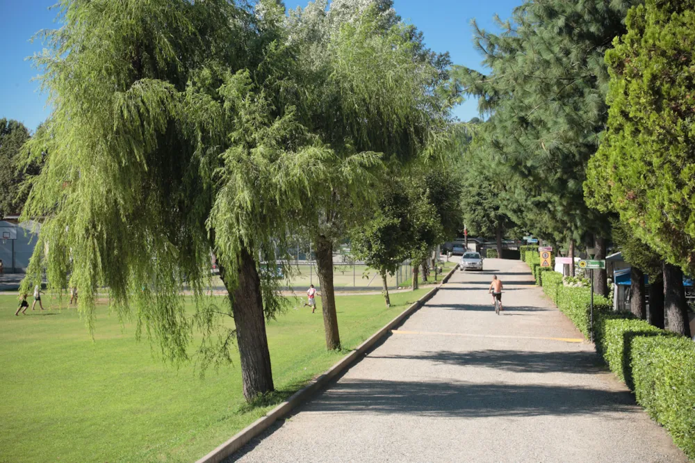 Emplacement - Emplacement Standard - Lido Verbano Camping Village