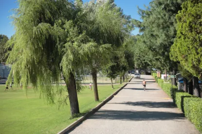 Super Pitch (100-130 M²)