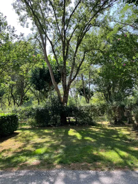 Kampeerplaats(en) - Locatie Natuur - Slow Village | Saint-Cybranet