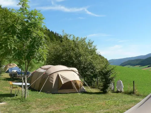 Emplacement - Emplacement Solo Incluant 1 Personne + Électricité - image n°3 - Camping Les Eymes