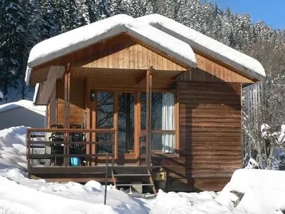 Accommodation - Chalet Bois Grand Cerf - image n°7 - Camping Les Eymes
