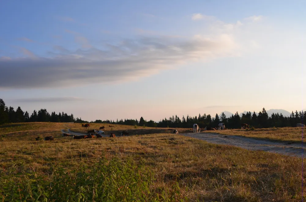Camping Les Eymes - image n°20 - Isere
