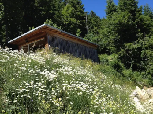 Accommodation - Chalet La Cabane - image n°5 - Camping Les Eymes