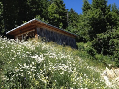 Chalet La Cabane