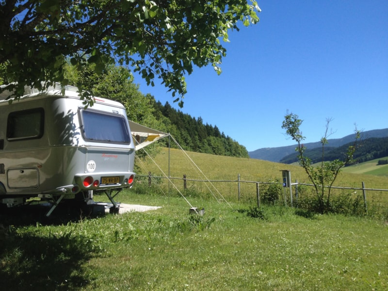 Emplacement PLAISIR  de 80 - 100 m² pour tente, caravane ou camping-car