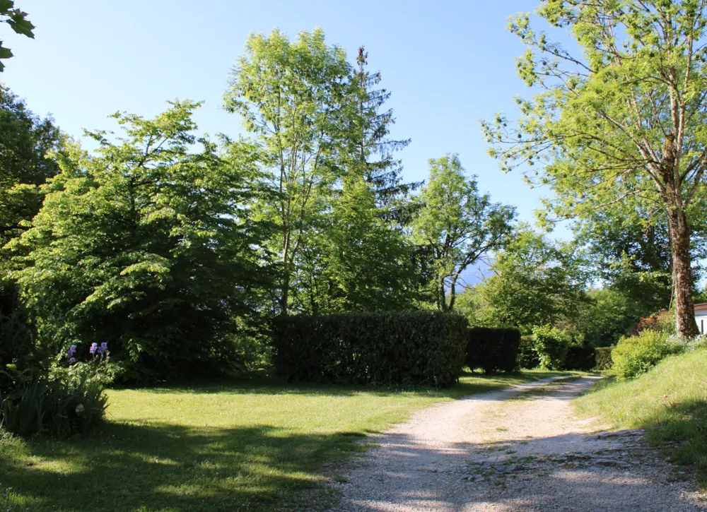 Pitch - Pitch Without Electricity - Camping Le Balcon De Chartreuse