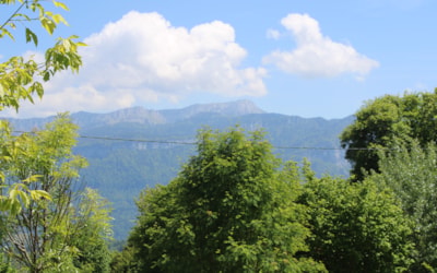 Chalet Gentiane 24m² Mezzanine
