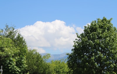 Chalet Narcisse