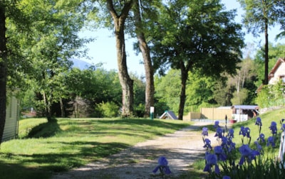 Camping Le Balcon De Chartreuse