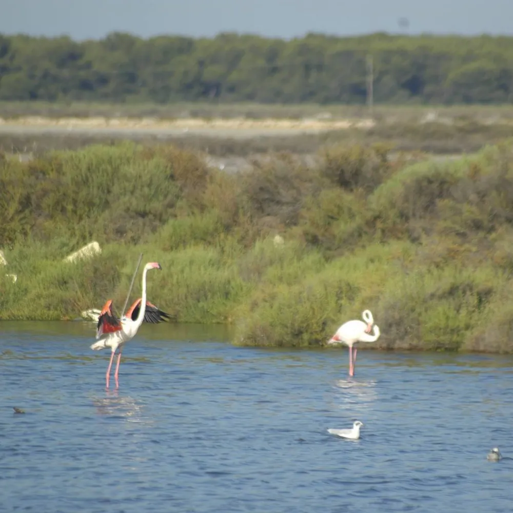  Camping Bon Séjour  - image n°1 - Camping Direct