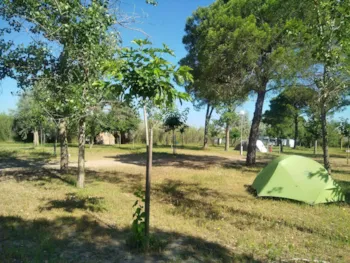 Stellplatz - Stellplatz -  Camping Bon Séjour 